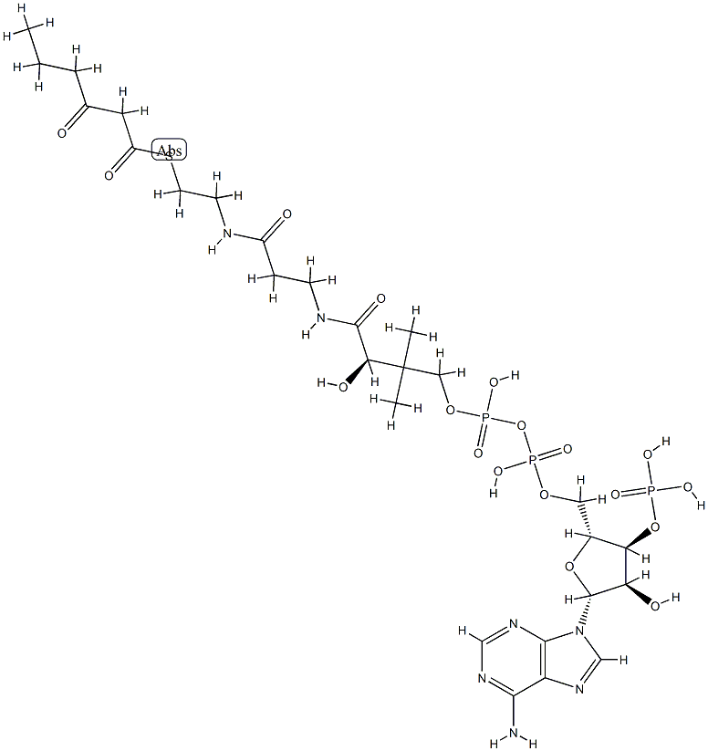 3-ketohexanoyl-coenzyme A 结构式