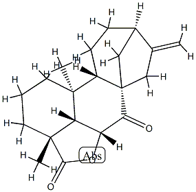 6α-Hydroxy-7-oxokaura-16-ene-18-oic acid lactone 结构式