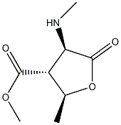 Arabinonicacid,2,3,5-trideoxy-3-(methoxycarbonyl)-2-(methylamino)-,gamma- 结构式