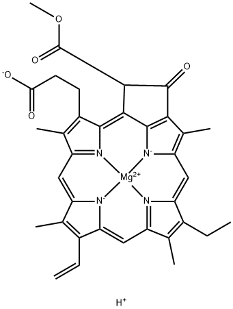 植物原脱植基叶绿素ELISA试剂盒 结构式