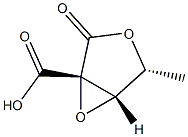 D-Lyxonic acid, 2,3-anhydro-2-C-carboxy-5-deoxy-, 1,4-lactone (9CI) 结构式