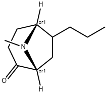 8-Azabicyclo[3.2.1]octan-2-one,8-methyl-6-propyl-,(1R,5R)-rel-(9CI) 结构式