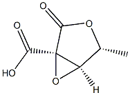 D-Ribonic acid, 2,3-anhydro-2-C-carboxy-5-deoxy-, 1,4-lactone (9CI) 结构式