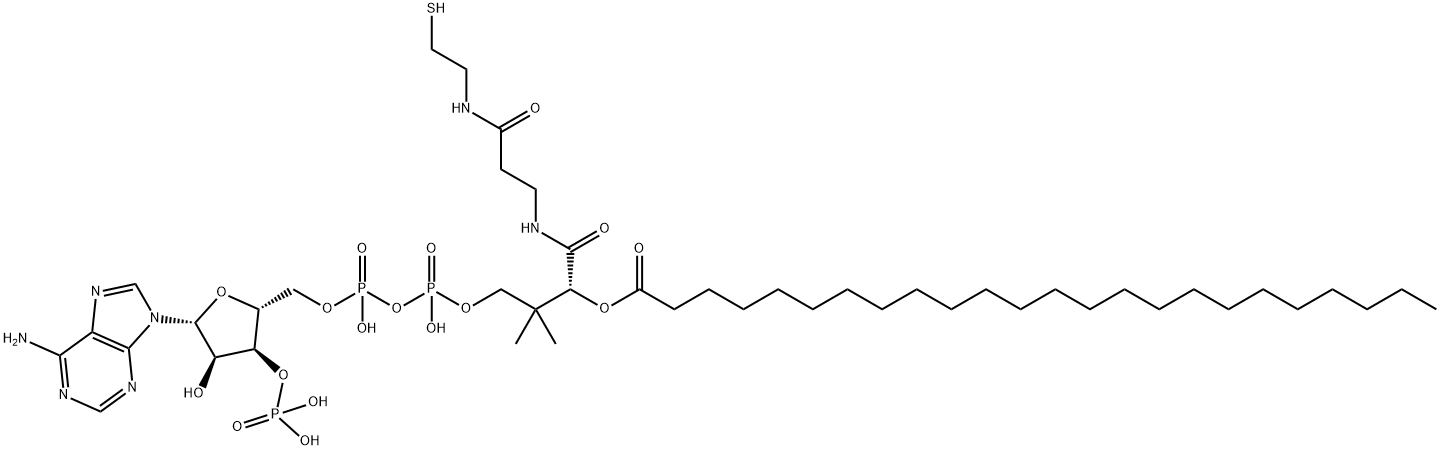 lignoceroyl-coenzyme A 结构式