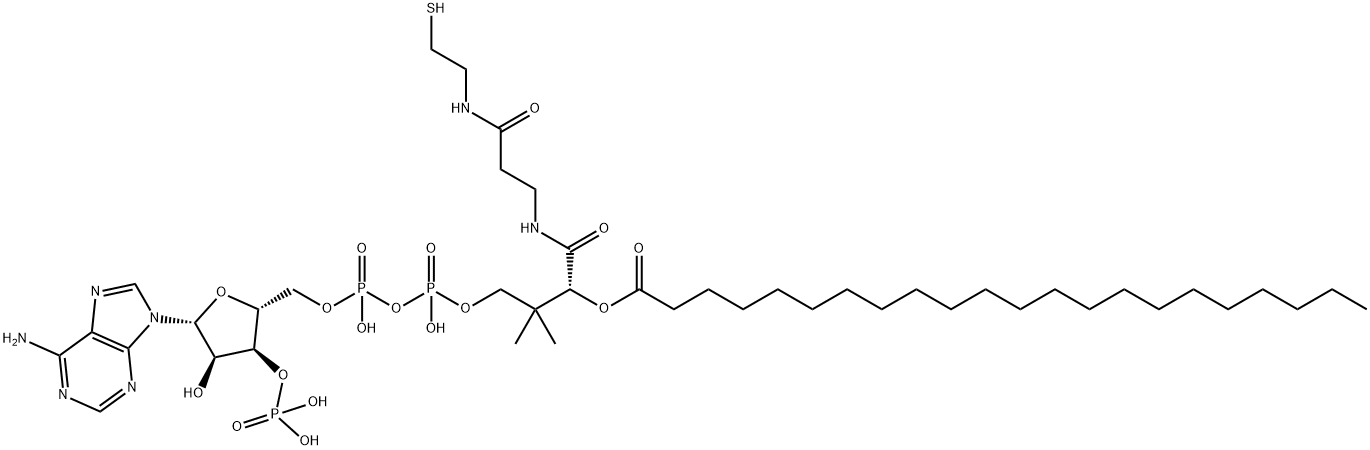 behenyl-coenzyme A 结构式