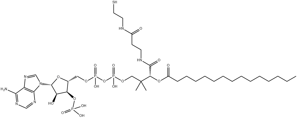 十五烷酰辅酶A(铵盐) 结构式