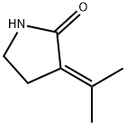 2-Pyrrolidinone,3-(1-methylethylidene)-(9CI) 结构式