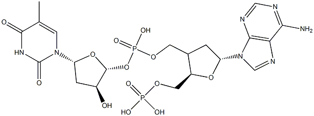 Poly dA-dT 结构式