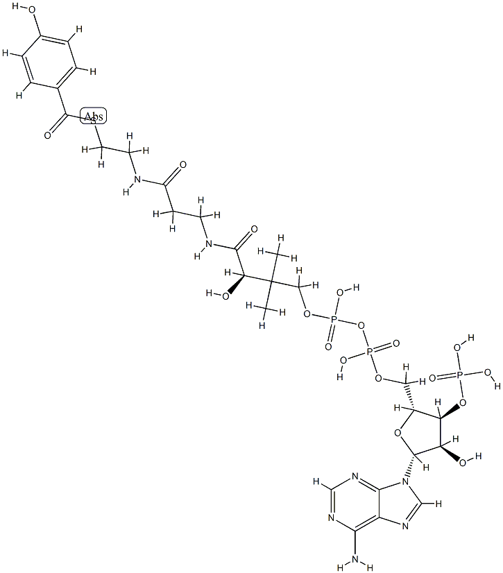 4-羟基苯甲酰辅酶A 结构式