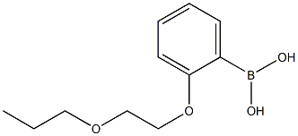 2-(2-Propoxyethoxy)phenylboronic acid 结构式