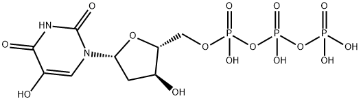 2'-deoxy-5-hydroxyuridine triphosphate