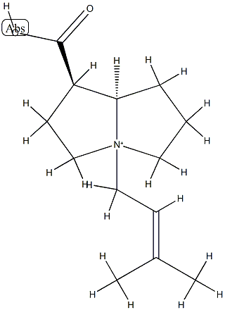 (1R,7aβ)-1α-Carboxylatohexahydro-4-(3-methyl-2-butenyl)-1H-pyrrolizin-4-ium 结构式