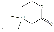 IPO 196 结构式