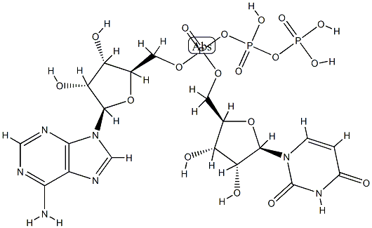 adenosine 5'-P(1)-triphosphate-P(3)-5'''-uridine 结构式