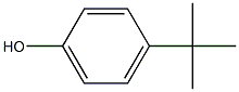 4-(1,1-DIMETHYLETHYL)-PHENOL,HOMOPOLYMER 结构式