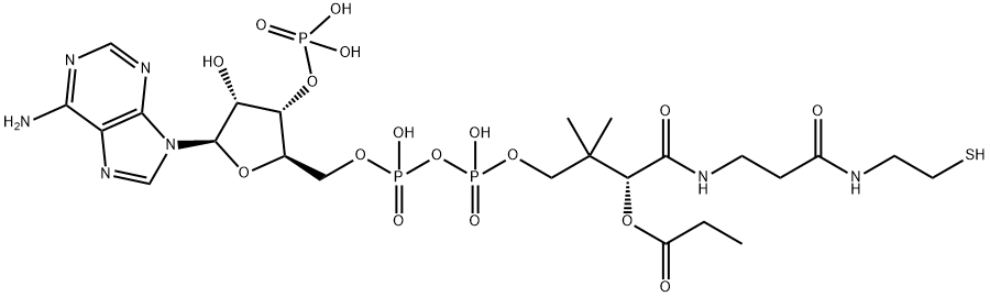 IS-丙酰辅酶A 结构式