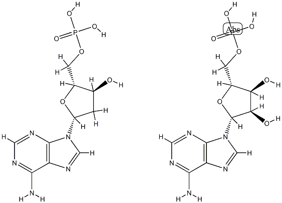 Poly(A)-poly(dA) 结构式