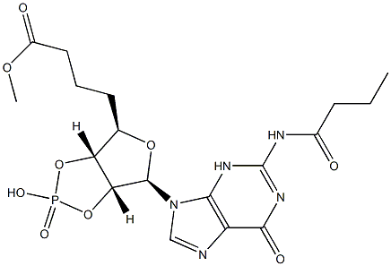 Dibutyryl Cyclic GMP 结构式