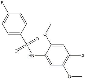 N-(4-chloro-2,5-dimethoxyphenyl)-4-fluorobenzenesulfonamide 结构式