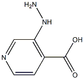 3-肼基异烟酸 结构式