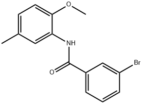 3-bromo-N-(2-methoxy-5-methylphenyl)benzamide 结构式