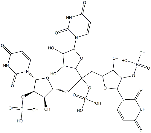 uridylyl-(3'-5')-uridylyl-(3'-5')-3'-uridylic acid 结构式