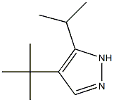 1H-Pyrazole,4-(1,1-dimethylethyl)-3-(1-methylethyl)-(9CI) 结构式