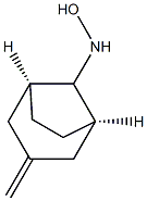 Bicyclo[3.2.1]octan-8-amine, N-hydroxy-3-methylene-, (8-syn)- (9CI) 结构式