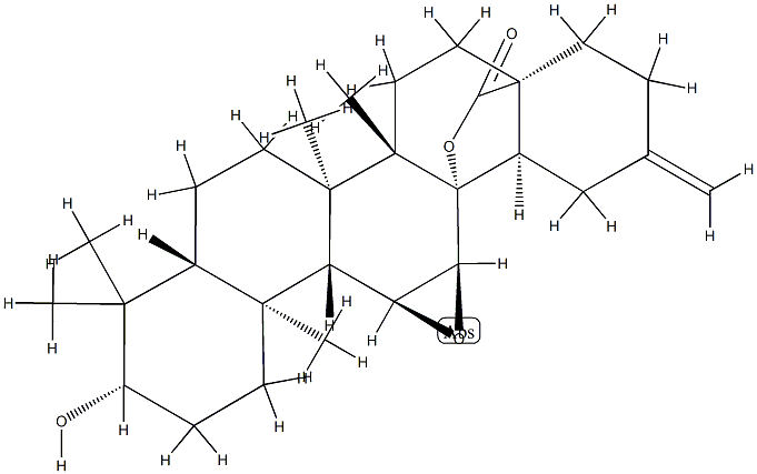 11α,12α-Epoxy-3β,13-dihydroxy-30-norolean-20(29)-en-28-oic acid γ-lactone 结构式