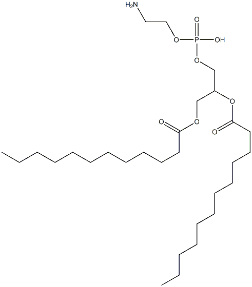 二月桂酰磷脂酰乙醇胺 结构式