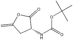 Carbamic acid, [(3R)-tetrahydro-5-methylene-2-oxo-3-furanyl]-, 1,1- 结构式