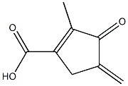 1-Cyclopentene-1-carboxylicacid,2-methyl-4-methylene-3-oxo-(9CI) 结构式