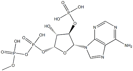 2'P-ADP 结构式