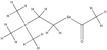 2-acetylselanylethyl-trimethyl-azanium 结构式