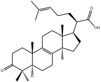 3-Oxo-5α-lanosta-8,24-diene-21-oic acid 结构式