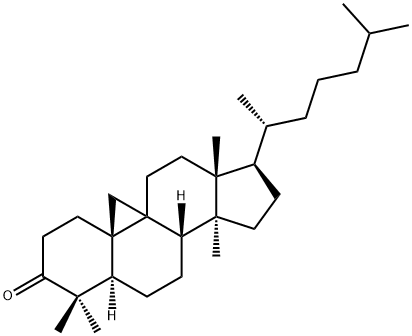 5α-Cycloartan-3-one 结构式