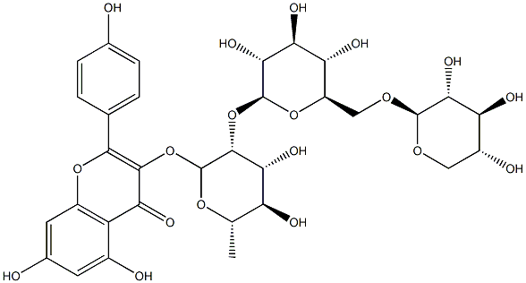 HelicianeoideA