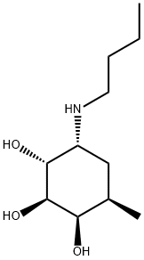 allo-Inositol, 6-(butylamino)-1,2,6-trideoxy-2-methyl- (9CI) 结构式