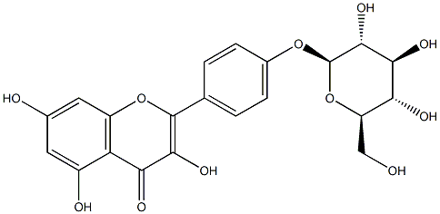 山奈酚-4'-O-Β-D-葡萄糖苷 结构式
