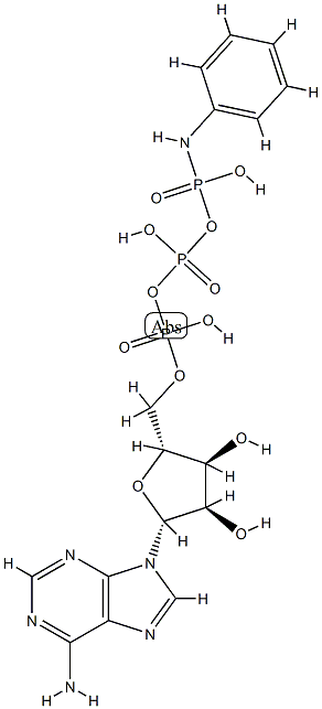 ATP gamma-anilide 结构式