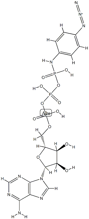 ATP gamma-p-azidoanilide 结构式