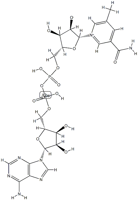 5-methylnicotinamide-adenine dinucleotide 结构式