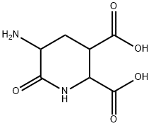 2,3-Piperidinedicarboxylicacid,5-amino-6-oxo-(9CI) 结构式