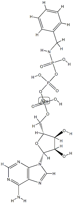 ATP gamma-benzylamide 结构式