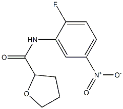 2-Furancarboxamide,N-(2-fluoro-5-nitrophenyl)tetrahydro-(9CI) 结构式