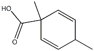 2,5-Cyclohexadiene-1-carboxylicacid,1,4-dimethyl-(9CI) 结构式
