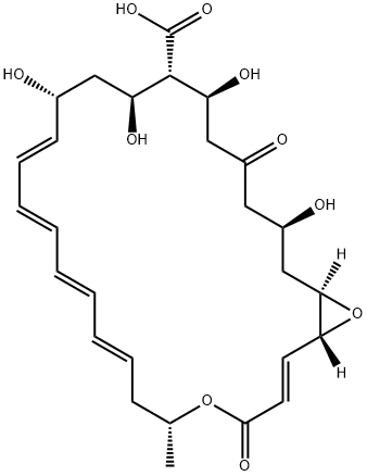 Natamycinolide 结构式