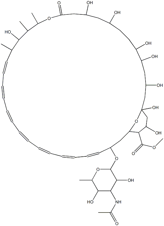 N-Acetylamphotericin B methyl ester 结构式