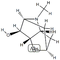2,5-Methano-2H-furo[3,2-b]pyrrol-6-ol, hexahydro-4-methyl-, (2R,3aS,5R,6R,6aR)-rel-(-)- (9CI) 结构式