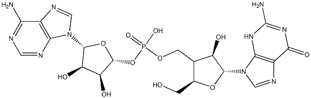 adenylyl-(5'->3')-guanosine